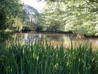 Manoir de Saule